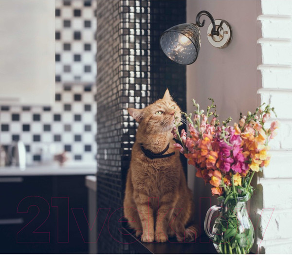 Изображение товара Бра De City Клэр 463021901