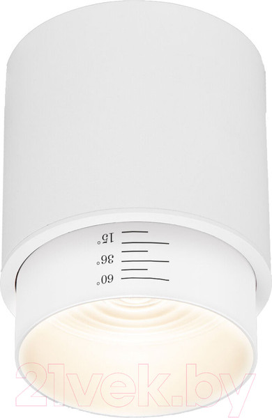 Изображение товара Точечный светильник Elektrostandard Cors 10W /25032/LED (белый)