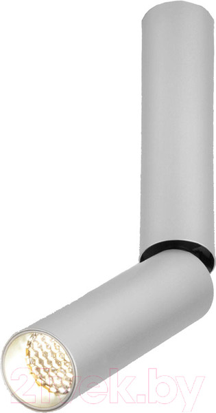 Изображение товара Точечный светильник Elektrostandard Pika 6W / 25029/LED (серебристый)