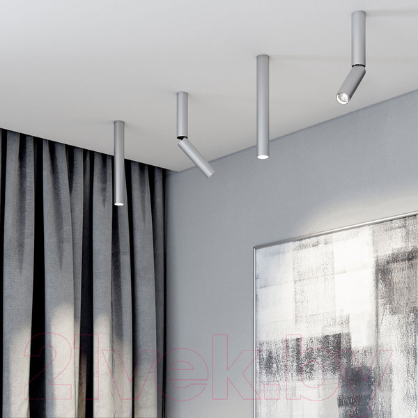 Изображение товара Точечный светильник Elektrostandard Pika 6W / 25029/LED (серебристый)