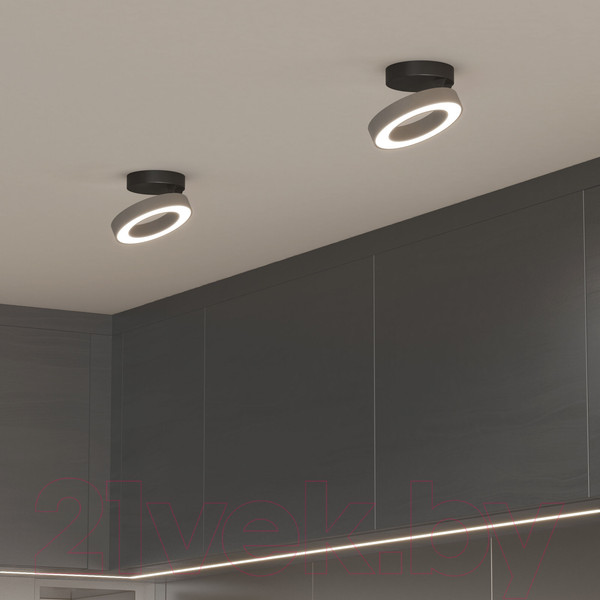 Изображение товара Трековый светильник Elektrostandard Spila 12W 4200К / 25105/LED (серебристый)