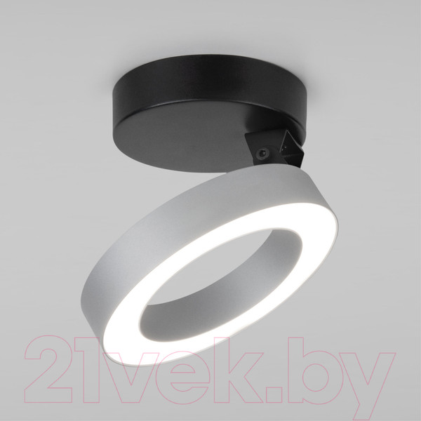 Изображение товара Трековый светильник Elektrostandard Spila 12W 4200К / 25105/LED (серебристый)