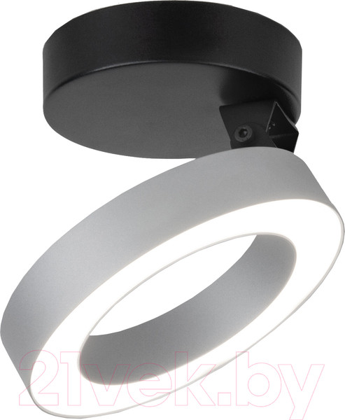 Изображение товара Трековый светильник Elektrostandard Spila 12W 4200К / 25105/LED (серебристый)