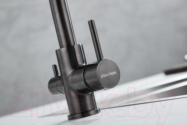 Изображение товара Смеситель Paulmark Essen Es213011-GM