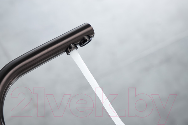 Изображение товара Смеситель Paulmark Essen Es213011-GM