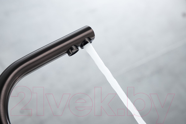 Изображение товара Смеситель Paulmark Essen Es213011-GM