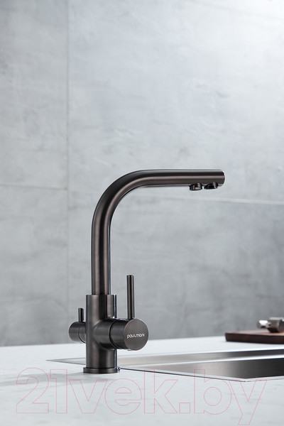 Изображение товара Смеситель Paulmark Essen Es213011-GM