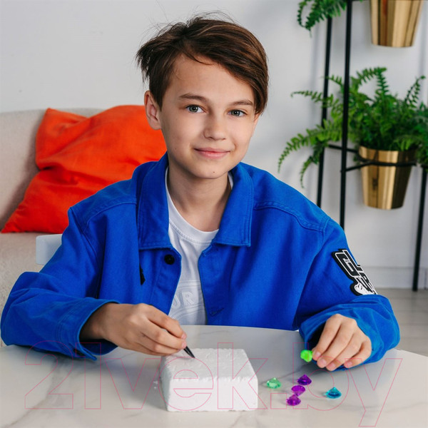 Изображение товара Набор для опытов Bumbaram Талисман Дракона / dig-62