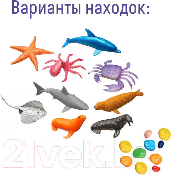 Изображение товара Набор для опытов Bumbaram Морские обитатели / dig-64