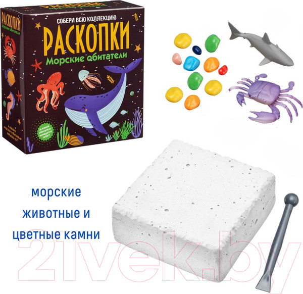 Изображение товара Набор для опытов Bumbaram Морские обитатели / dig-64