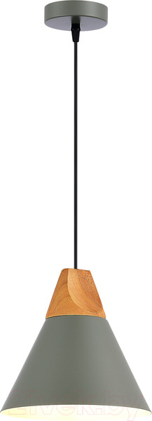 Изображение товара Потолочный светильник Evoluce SLE125113-01