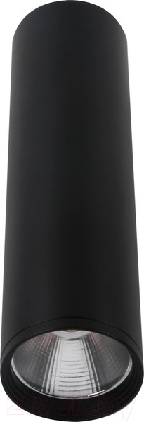 Изображение товара Потолочный светильник Kinklight Фабио 08570-20.19 (черный)