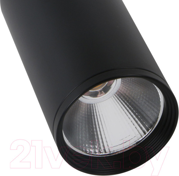 Изображение товара Потолочный светильник Kinklight Фабио 08570-20.19 (черный)