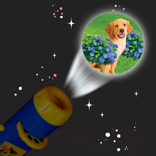 Изображение товара Развивающий игровой набор Zabiaka Веселые зверята. Проектор-фонарик FDE011 / 1003247