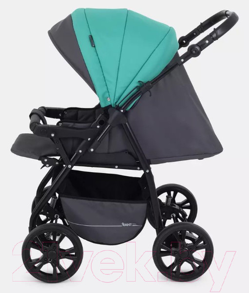 Изображение товара Детская универсальная коляска Rant Basic Riva 2 в 1 / PW 02 (зеленый)