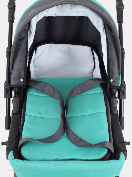 Изображение товара Детская универсальная коляска Rant Basic Riva 2 в 1 / PW 02 (зеленый)