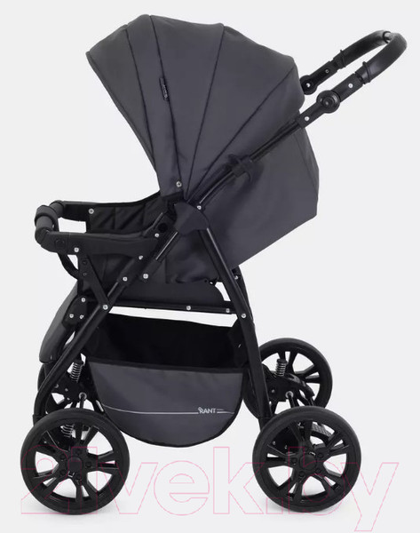 Изображение товара Детская универсальная коляска Rant Basic Riva 2 в 1 / PW 03 (графит)
