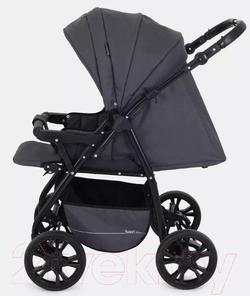Изображение товара Детская универсальная коляска Rant Basic Riva 2 в 1 / PW 03 (графит)