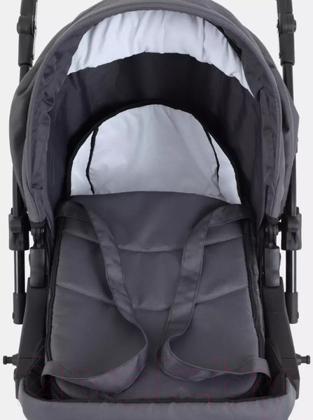 Изображение товара Детская универсальная коляска Rant Basic Riva 2 в 1 / PW 03 (графит)