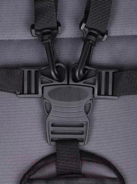 Изображение товара Детская универсальная коляска Rant Basic Riva 2 в 1 / PW 03 (графит)