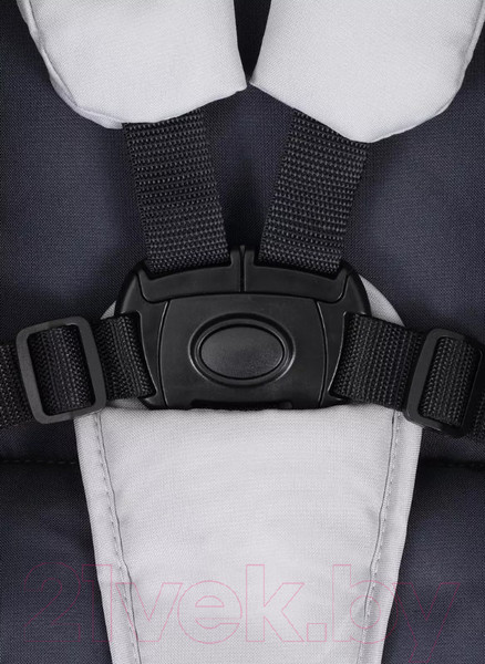 Изображение товара Детская универсальная коляска Rant Basic Azure 2 в 1 / RA157 (серый)