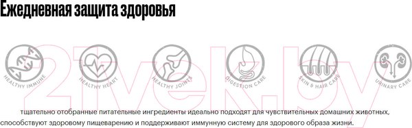 Изображение товара Сухой корм для собак Grandorf Dog Mini Breeds Turkey (1кг)
