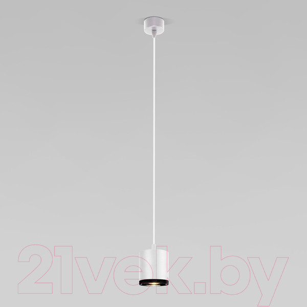 Изображение товара Потолочный светильник Elektrostandard 50243 LED 12W 4200K (белый)