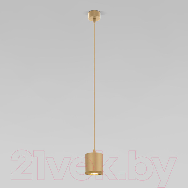 Изображение товара Потолочный светильник Elektrostandard 50243 LED 12W 4200K (золото)