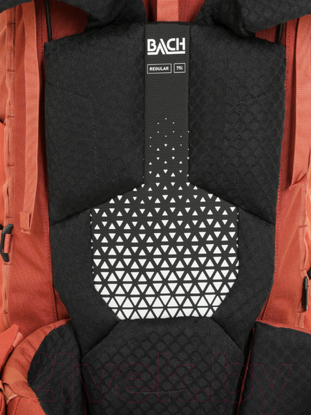 Изображение товара Рюкзак туристический BACH Pack Specialist 75 Regular / 297053-7608 (красный)