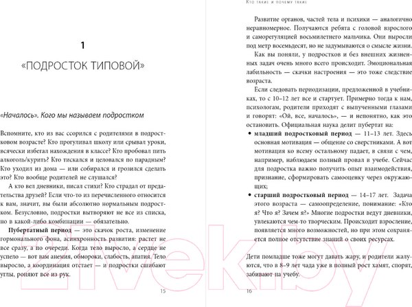Изображение товара Книга Бомбора Чертовы подростки! Как найти общий язык с повзрослевшим ребенком