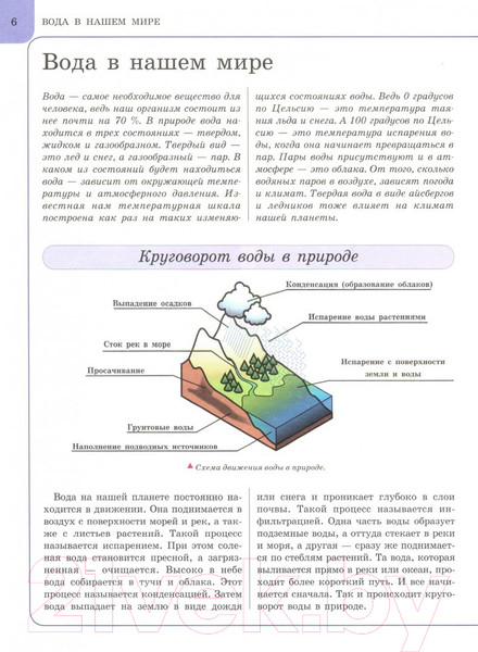 Изображение товара Энциклопедия Харвест Подводный мир / 9789851850002