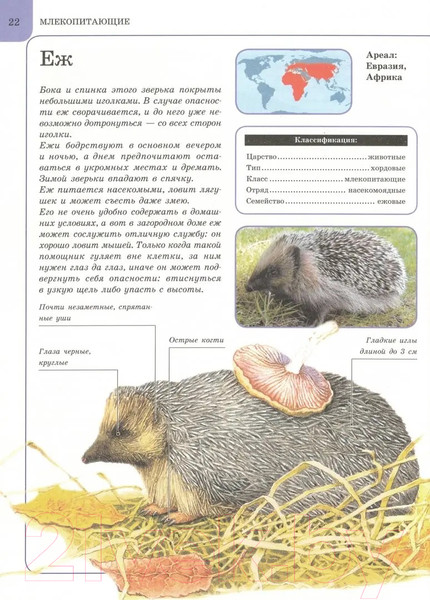 Изображение товара Энциклопедия Харвест Животные