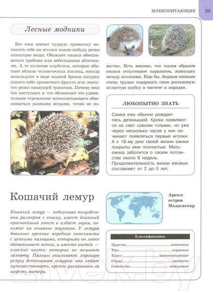 Изображение товара Энциклопедия Харвест Животные