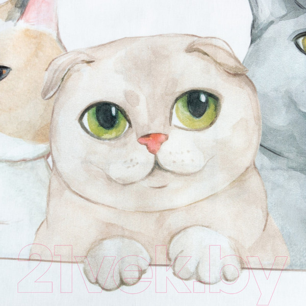 Изображение товара Комплект постельного белья Этель Happy Cats / 7582933