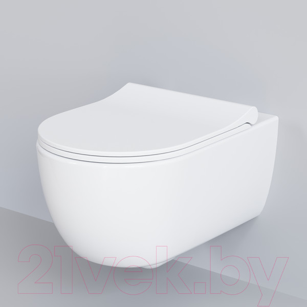 Изображение товара Сиденье для унитаза Ambassador 102T20001S (белый)