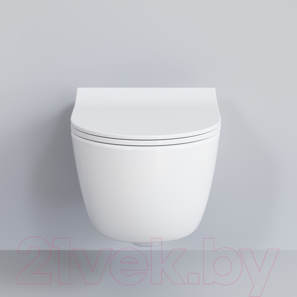 Изображение товара Сиденье для унитаза Ambassador 102T20001S (белый)