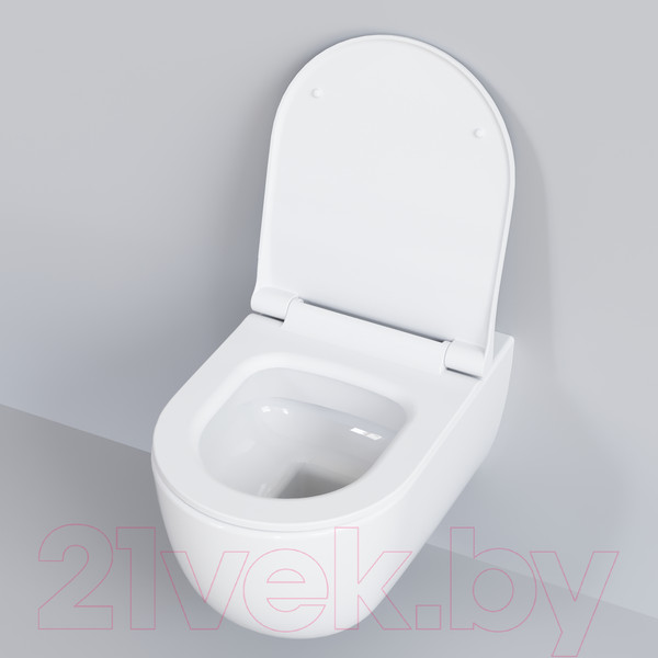 Изображение товара Сиденье для унитаза Ambassador 102T20001S (белый)