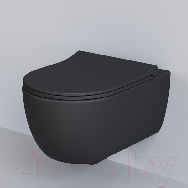 Изображение товара Сиденье для унитаза Ambassador 102T20201S (черный матовый)