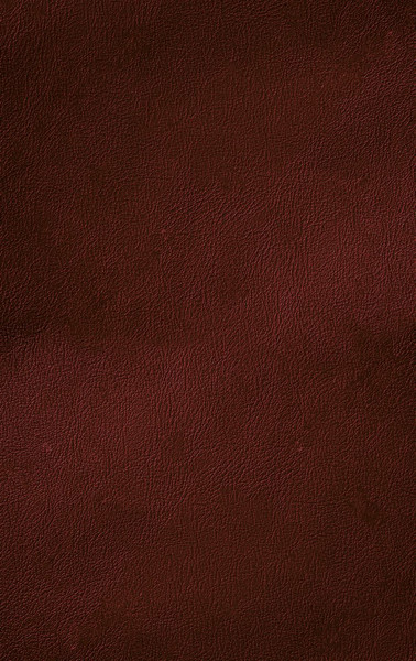 Изображение товара Книга Эксмо Библия. С закрашенным обрезом (бордовый)