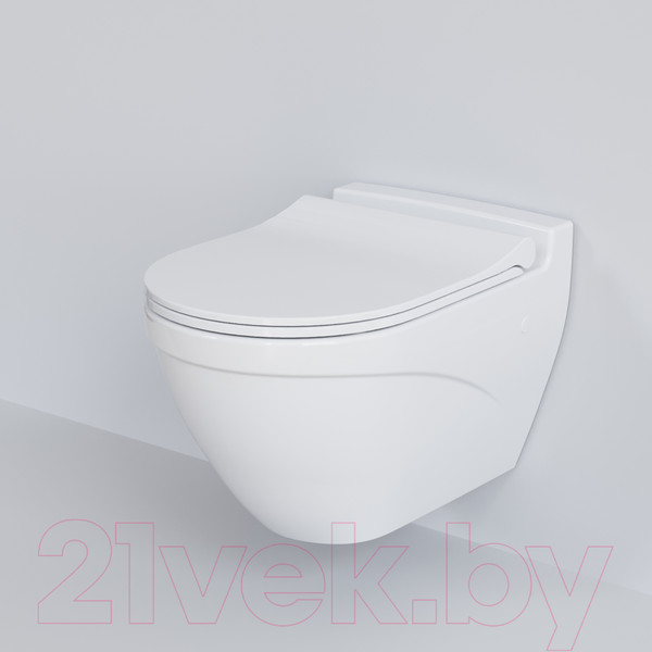 Изображение товара Сиденье для унитаза Ambassador Nord / 132T20101S (белый матовый)