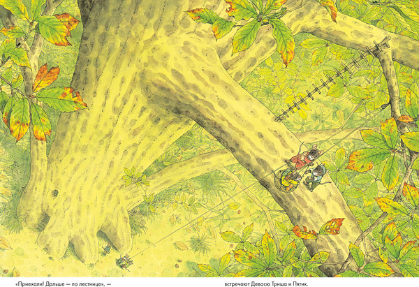 Изображение товара Развивающая книга Издательство Самокат 14 лесных мышей. Ужин с луной, твердая обложка (Ивамура Кадзуо)