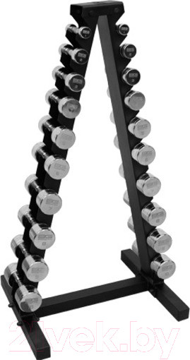 Изображение товара Набор гантелей Bronze Gym BGDBCH01-10