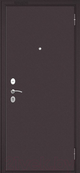 Изображение товара Входная дверь Mastino Family Eco МP-3 (86x205, правая)