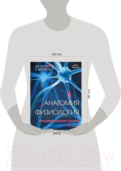 Изображение товара Книга Эксмо Анатомия. Физиология. Фундаментальные основы (Тортора Д., Дерриксон Б.)