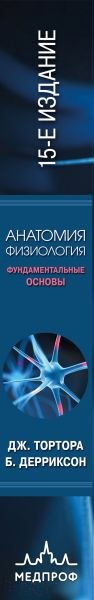 Изображение товара Книга Эксмо Анатомия. Физиология. Фундаментальные основы (Тортора Д., Дерриксон Б.)