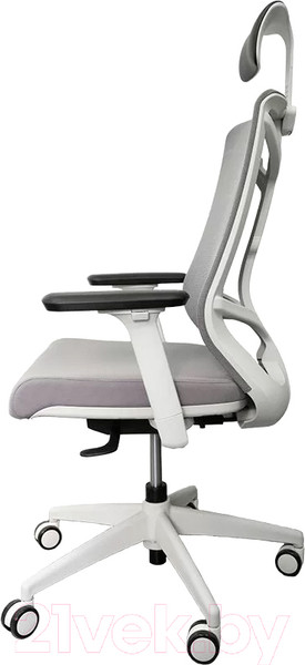 Изображение товара Кресло офисное Chair Meister Nature II Slider 3D с подлокотниками (каркас белый/ткань серая)