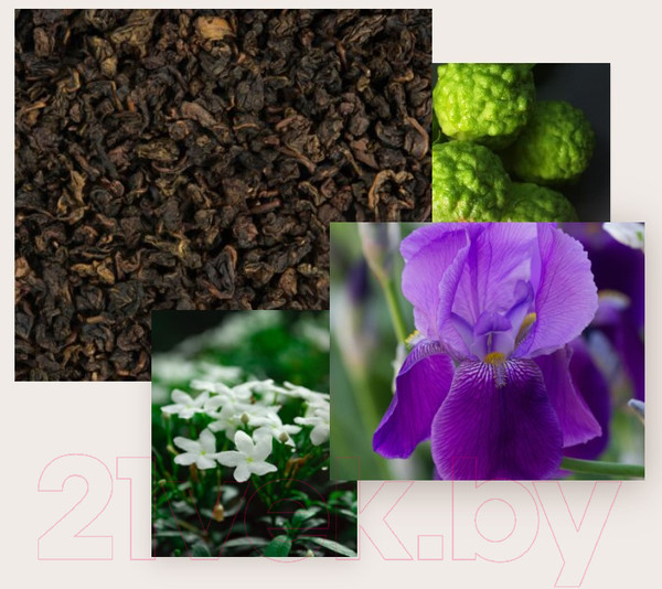 Изображение товара Парфюмерный набор State of Mind Creative Inspiration Luxury Mind Set Парфюмерная вода+Чай  (100мл+100г)