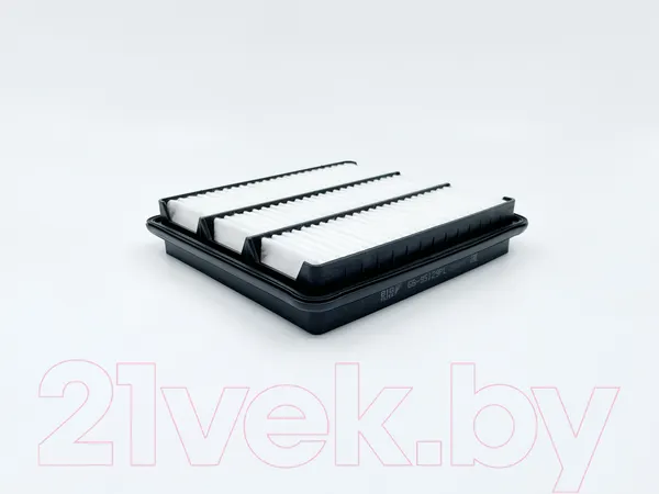 Изображение товара Воздушный фильтр BIG Filter GB-95129PL