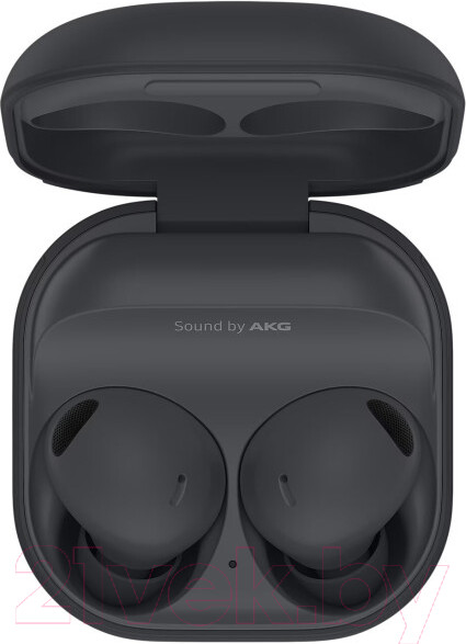 Изображение товара Беспроводные наушники Samsung Galaxy Buds 2 Pro / SM-R510NZ (серый)