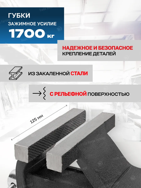 Изображение товара Тиски Forsage F-6540805 (18543)